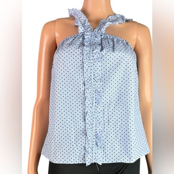 Waverly Grey Blue Polka Dotted Ruffle Tank Top - Picture 1 of 5